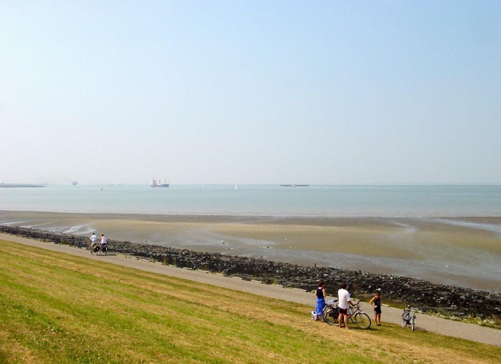 Hotel De Blaauwe Leeuw แตร์นอยเชิน ภายนอก รูปภาพ